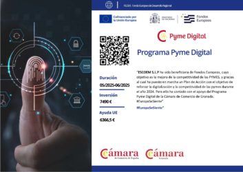 programa-pyme-digital