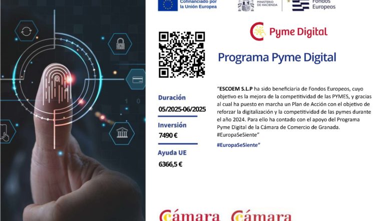 programa-pyme-digital